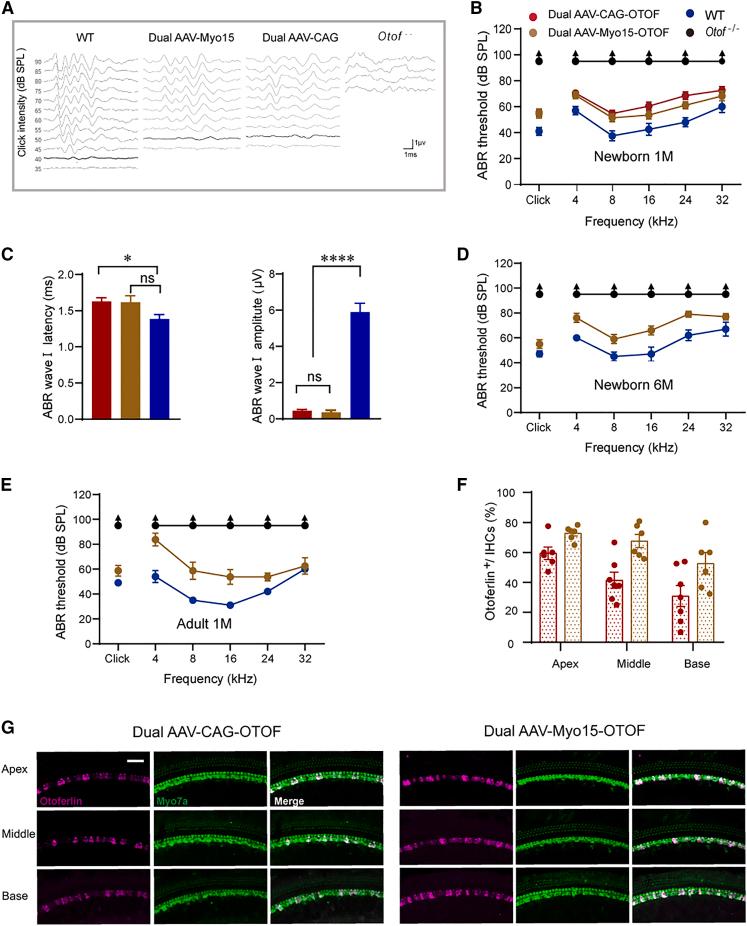 https://cdn.ncbi.nlm.nih.gov/pmc/blobs/1186/10883836/bf6f4640a456/gr3.jpg