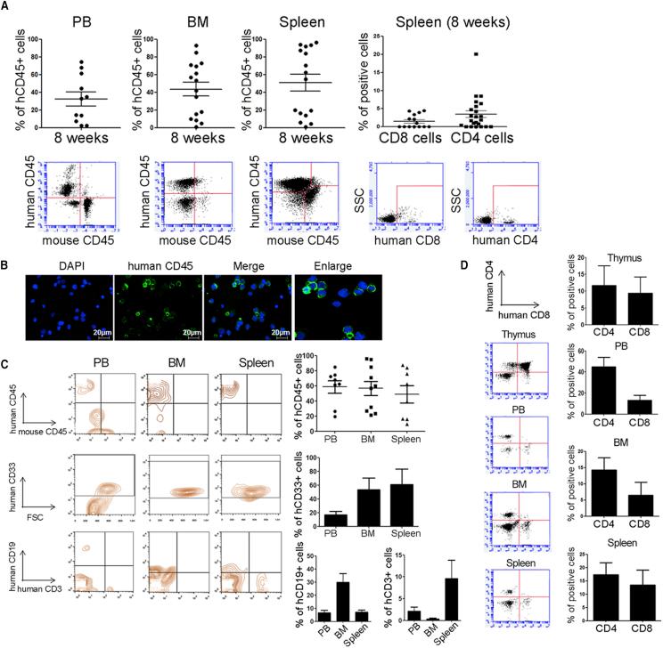 https://cdn.ncbi.nlm.nih.gov/pmc/blobs/118a/7363744/5d1442a98e6b/gr5.jpg