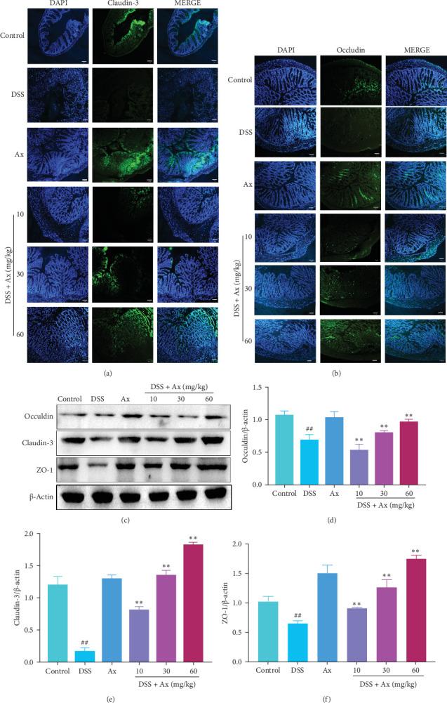 https://cdn.ncbi.nlm.nih.gov/pmc/blobs/118b/12393947/d4ff2fd441f1/JIR2025-3381950.004.jpg
