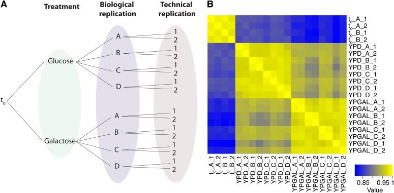 https://cdn.ncbi.nlm.nih.gov/pmc/blobs/118b/3887526/53bd12d138fa/11f1.jpg