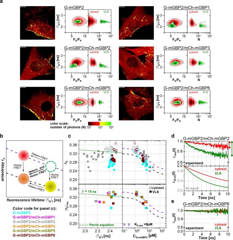 https://cdn.ncbi.nlm.nih.gov/pmc/blobs/118b/4786432/e1bafe7aaecc/elife-11479-fig4.jpg