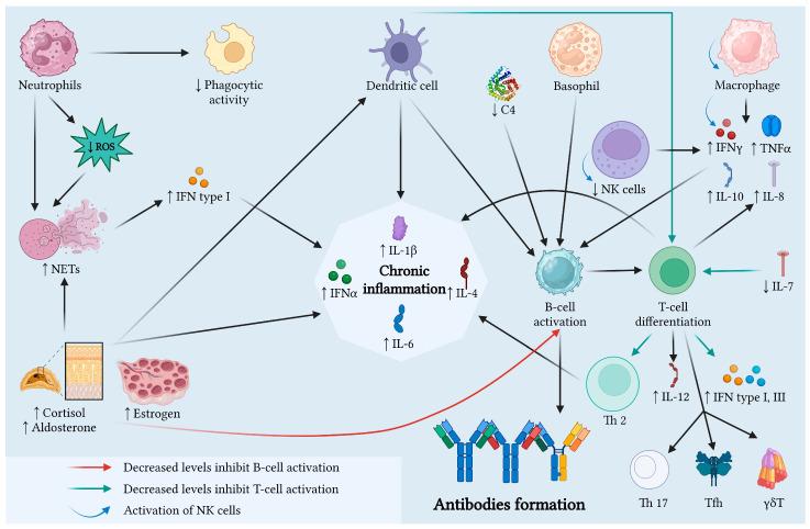 https://cdn.ncbi.nlm.nih.gov/pmc/blobs/1191/12027941/dd9fab7aa092/jcm-14-02558-g003.jpg