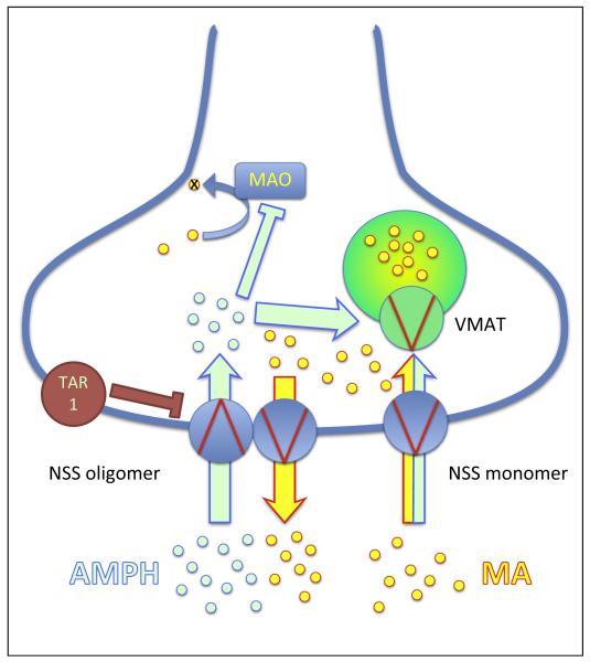 https://cdn.ncbi.nlm.nih.gov/pmc/blobs/1193/4502921/caf94641fc9d/emss-63180-f0002.jpg
