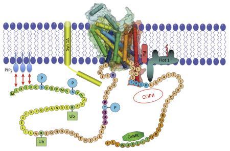 https://cdn.ncbi.nlm.nih.gov/pmc/blobs/1193/4502921/f0aecae87ca9/emss-63180-f0004.jpg