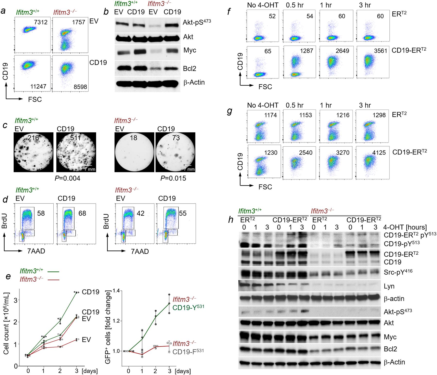 https://cdn.ncbi.nlm.nih.gov/pmc/blobs/1193/8087162/16bb7e416d88/nihms-1620516-f0009.jpg