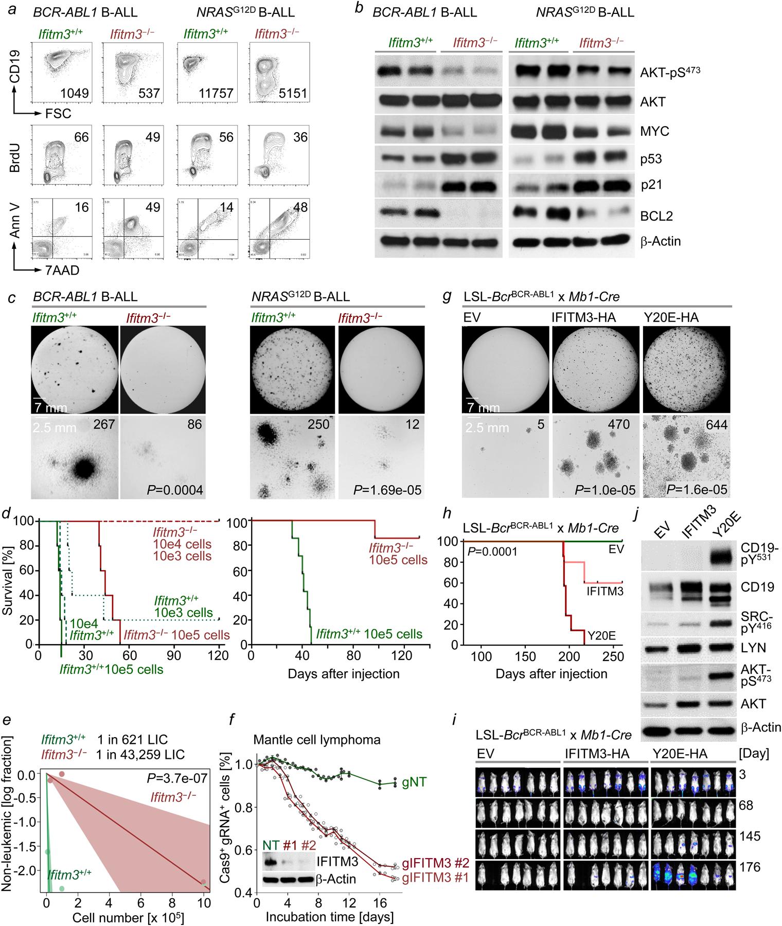 https://cdn.ncbi.nlm.nih.gov/pmc/blobs/1193/8087162/a98b4ec617a9/nihms-1620516-f0002.jpg