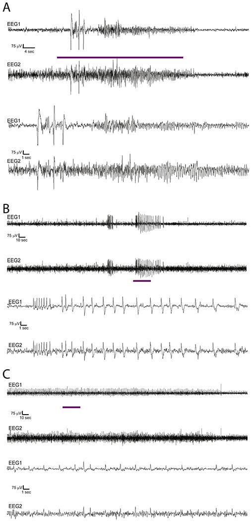 https://cdn.ncbi.nlm.nih.gov/pmc/blobs/1195/7725922/27a51fa42afa/nihms-1644240-f0006.jpg