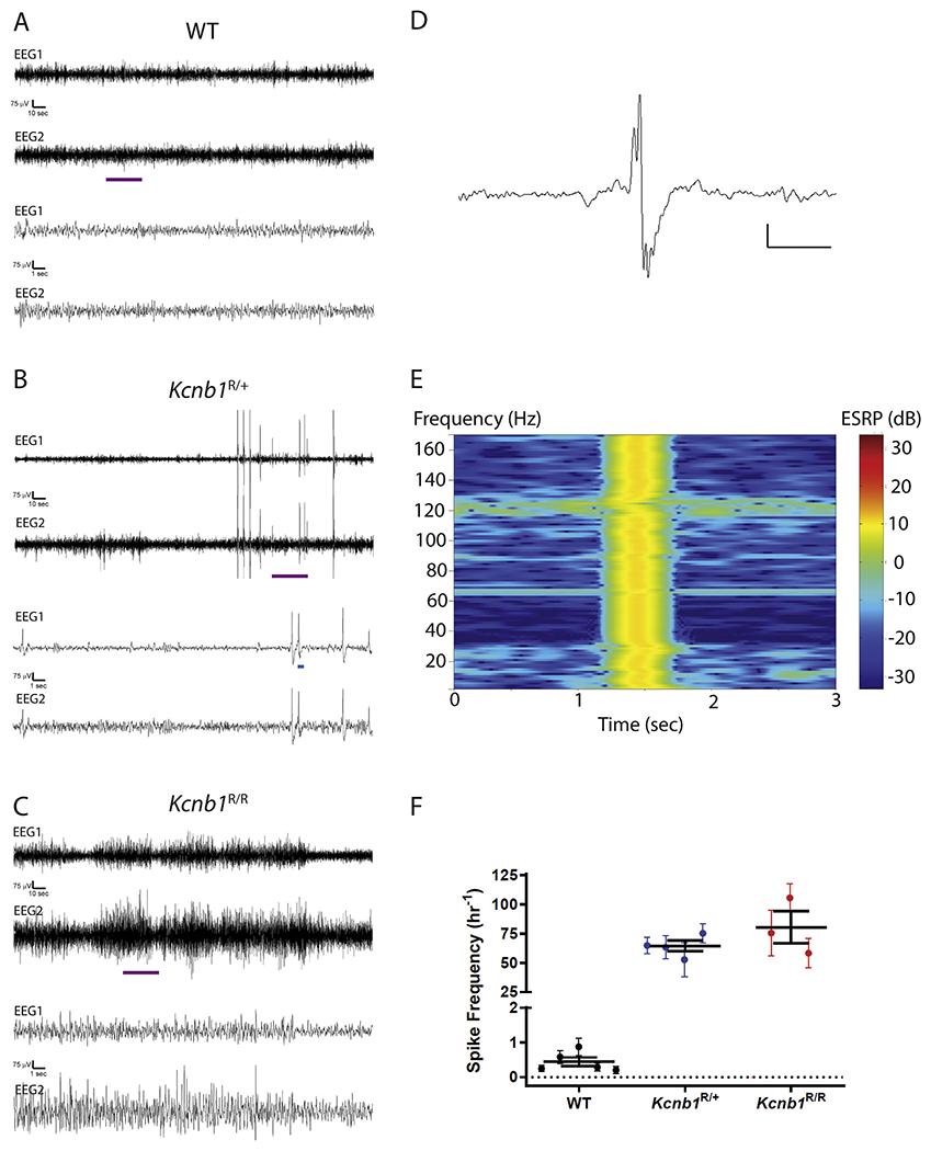 https://cdn.ncbi.nlm.nih.gov/pmc/blobs/1195/7725922/a22c54ef9653/nihms-1644240-f0007.jpg