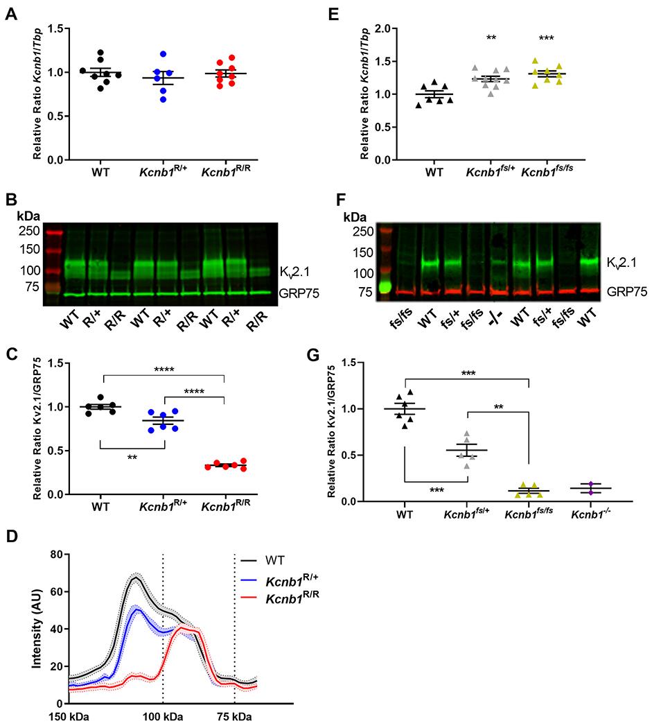 https://cdn.ncbi.nlm.nih.gov/pmc/blobs/1195/7725922/b4e0163900ea/nihms-1644240-f0003.jpg