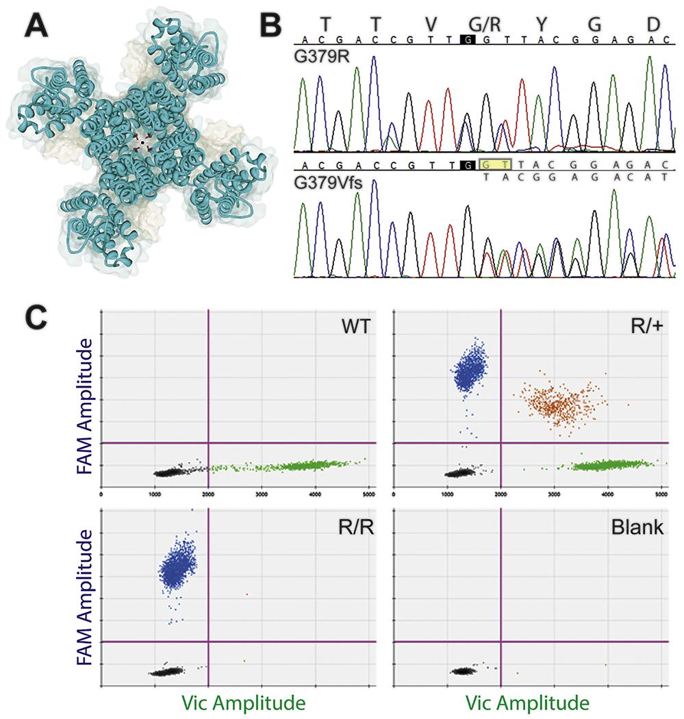 https://cdn.ncbi.nlm.nih.gov/pmc/blobs/1195/7725922/c88677a57c6c/nihms-1644240-f0001.jpg