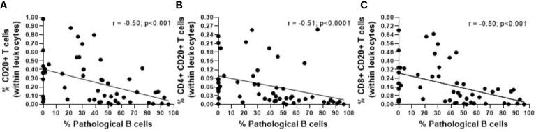 https://cdn.ncbi.nlm.nih.gov/pmc/blobs/1196/11007165/11419461ef20/fonc-14-1380648-g002.jpg