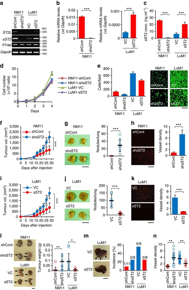 https://cdn.ncbi.nlm.nih.gov/pmc/blobs/1196/5123057/abe0bb2ecc20/ncomms13589-f3.jpg