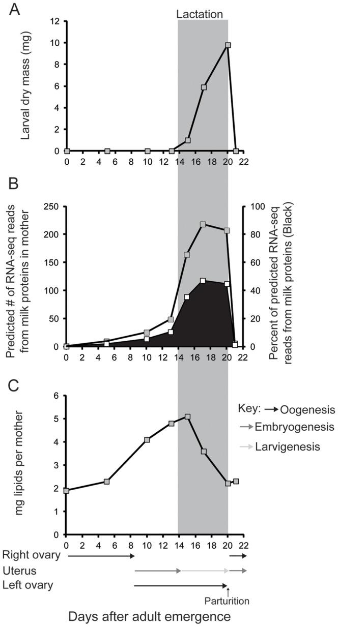 https://cdn.ncbi.nlm.nih.gov/pmc/blobs/1197/3998933/5683118123c3/pone.0087554.g001.jpg