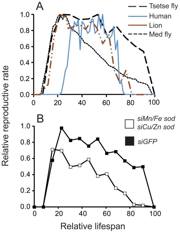 https://cdn.ncbi.nlm.nih.gov/pmc/blobs/1197/3998933/7021a05e81a6/pone.0087554.g006.jpg