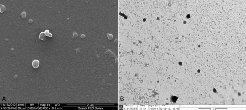 https://cdn.ncbi.nlm.nih.gov/pmc/blobs/1197/5627808/c600a9184bf5/medi-96-e7405-g003.jpg