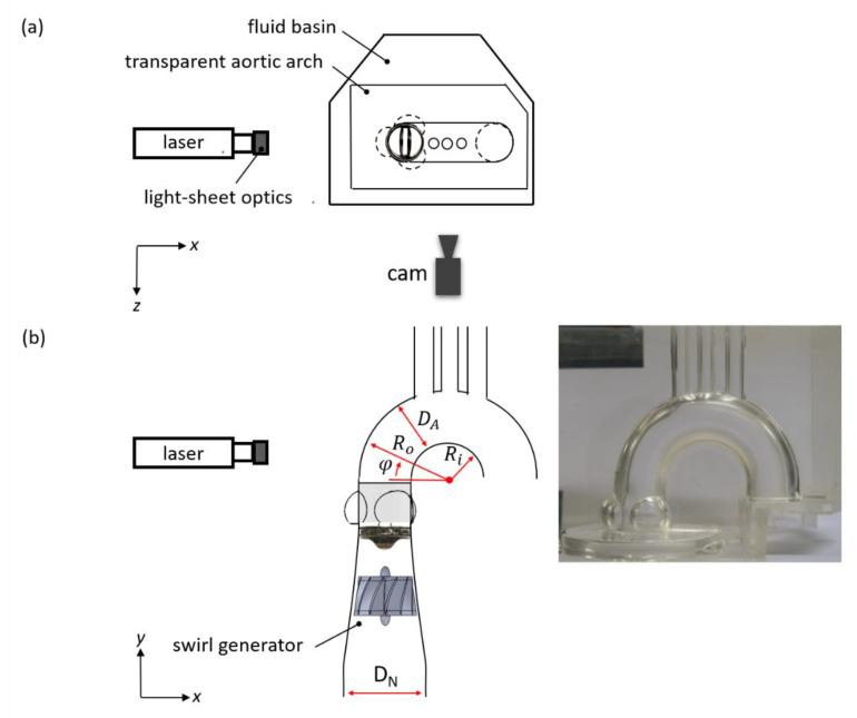 https://cdn.ncbi.nlm.nih.gov/pmc/blobs/1198/7763138/543b127ce870/bioengineering-07-00158-g004.jpg