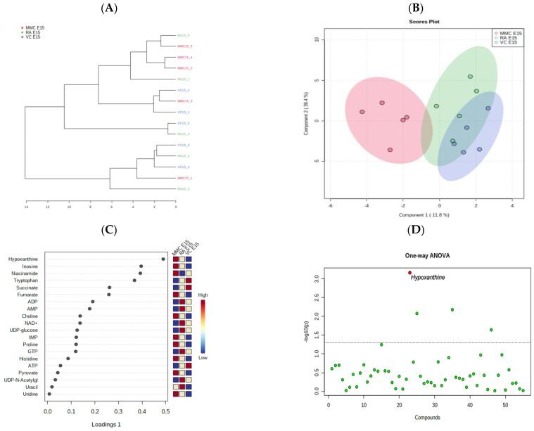 https://cdn.ncbi.nlm.nih.gov/pmc/blobs/1199/10223940/dd3db0715010/metabolites-13-00670-g001.jpg