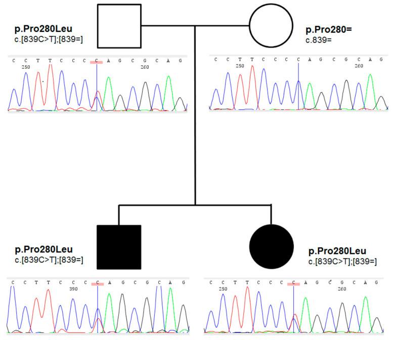 https://cdn.ncbi.nlm.nih.gov/pmc/blobs/1199/8950672/a14af758412e/ijms-23-03414-g002.jpg