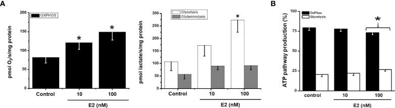 https://cdn.ncbi.nlm.nih.gov/pmc/blobs/119a/9676491/56a569789577/fonc-12-1018137-g004.jpg