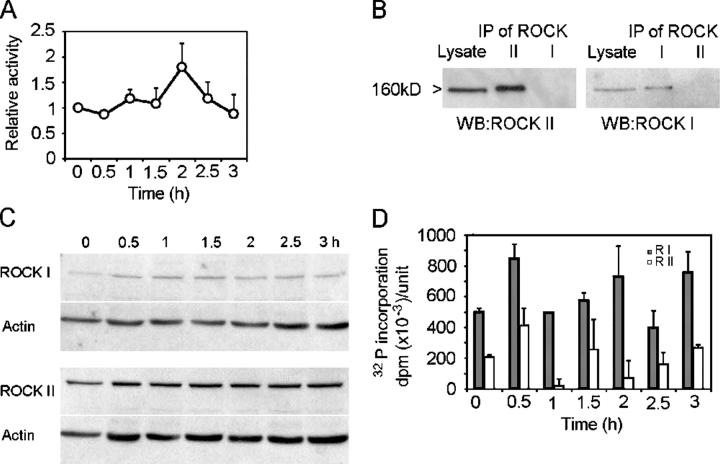 https://cdn.ncbi.nlm.nih.gov/pmc/blobs/119b/2171463/34f062386d2f/200412043f1.jpg