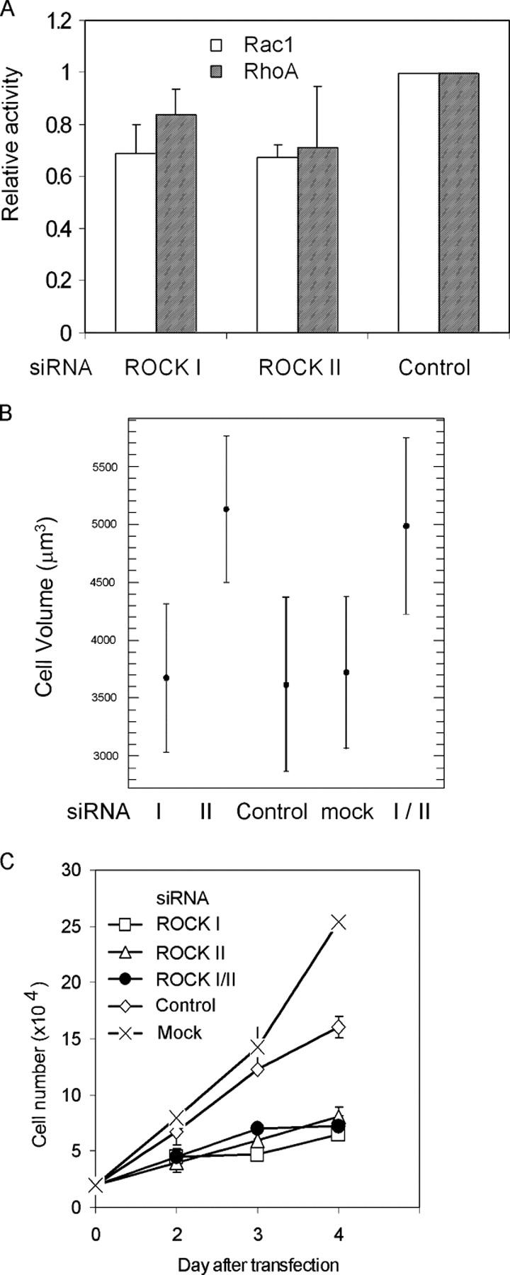 https://cdn.ncbi.nlm.nih.gov/pmc/blobs/119b/2171463/6340c8c84daf/200412043f6.jpg
