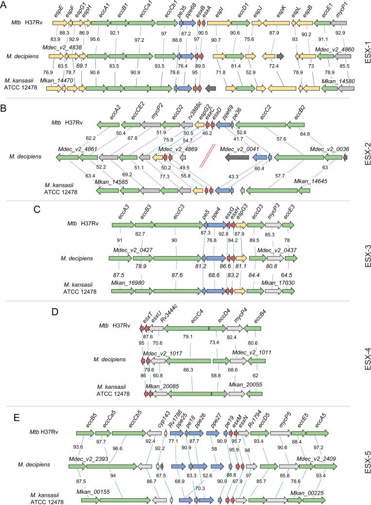 https://cdn.ncbi.nlm.nih.gov/pmc/blobs/119d/11237670/8a1c2cd567df/spectrum.04126-23.f002.jpg