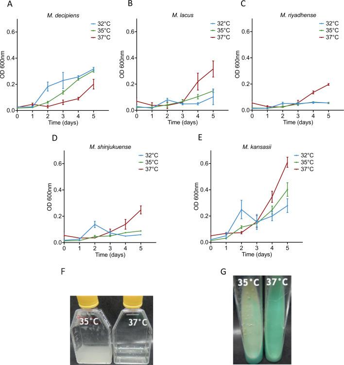 https://cdn.ncbi.nlm.nih.gov/pmc/blobs/119d/11237670/919244cabc68/spectrum.04126-23.f001.jpg