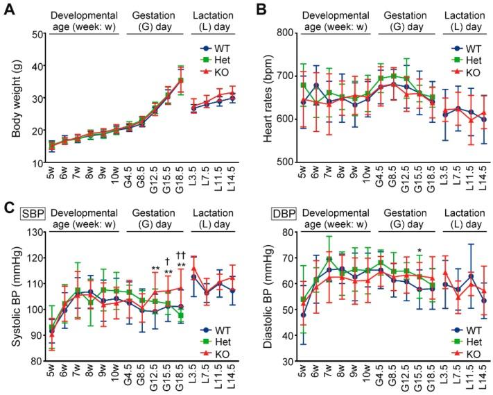 https://cdn.ncbi.nlm.nih.gov/pmc/blobs/119f/6679037/19f806e4d917/ijms-20-03507-g001.jpg