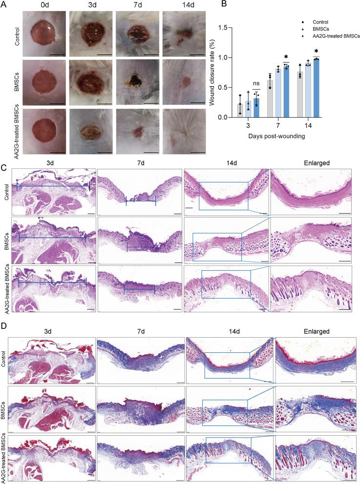 https://cdn.ncbi.nlm.nih.gov/pmc/blobs/11a1/8935805/4e2c3339a0bd/13287_2022_2797_Fig5_HTML.jpg