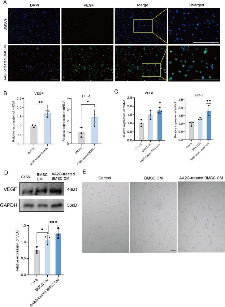 https://cdn.ncbi.nlm.nih.gov/pmc/blobs/11a1/8935805/b7a04b1c74f8/13287_2022_2797_Fig3_HTML.jpg