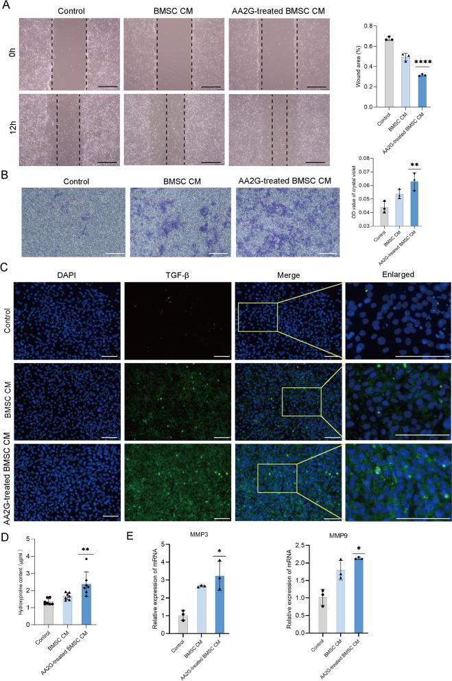 https://cdn.ncbi.nlm.nih.gov/pmc/blobs/11a1/8935805/fb4311a9e9f1/13287_2022_2797_Fig4_HTML.jpg