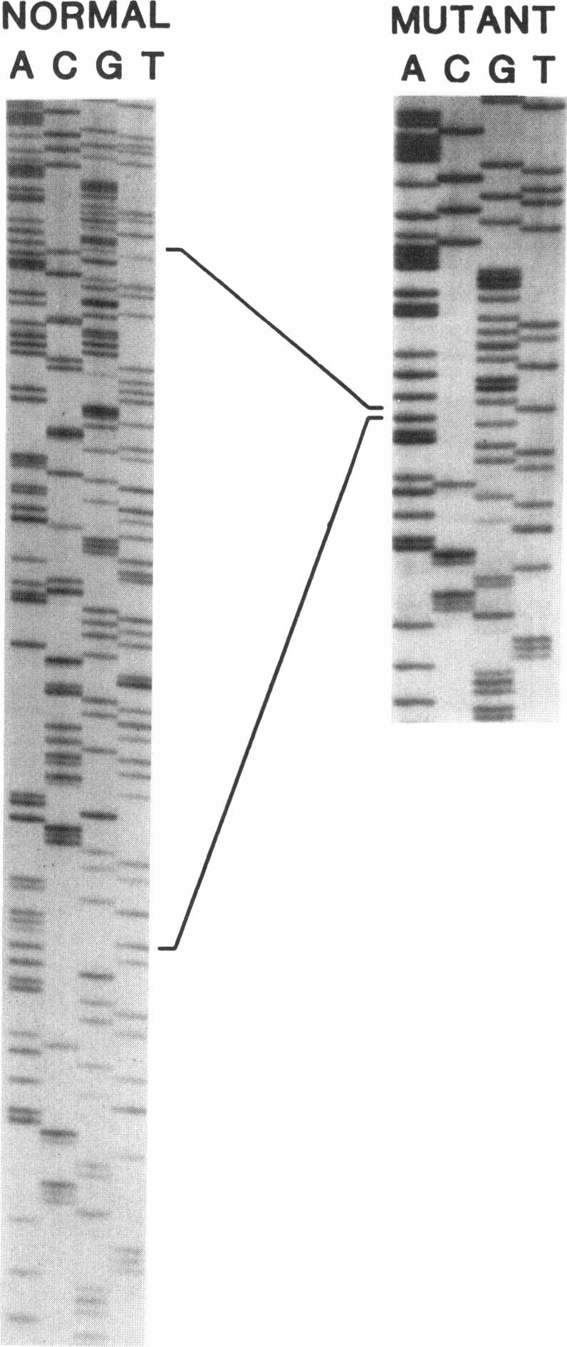 https://cdn.ncbi.nlm.nih.gov/pmc/blobs/11a3/1682369/0c111a6c52b9/ajhg00053-0183-a.jpg