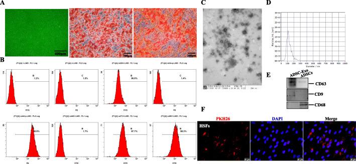 https://cdn.ncbi.nlm.nih.gov/pmc/blobs/11a4/8010995/0766f40bf5fb/13287_2021_2290_Fig1_HTML.jpg