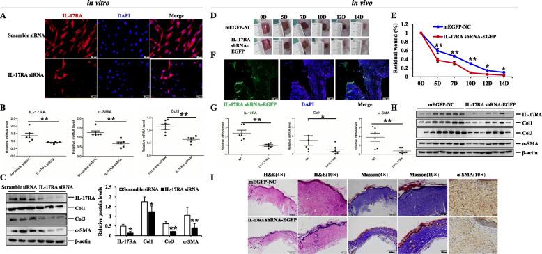 https://cdn.ncbi.nlm.nih.gov/pmc/blobs/11a4/8010995/36be6691a784/13287_2021_2290_Fig7_HTML.jpg