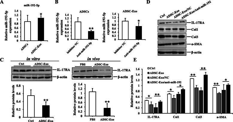 https://cdn.ncbi.nlm.nih.gov/pmc/blobs/11a4/8010995/e8b132ec6b6e/13287_2021_2290_Fig4_HTML.jpg