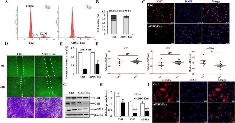 https://cdn.ncbi.nlm.nih.gov/pmc/blobs/11a4/8010995/ebd342e79968/13287_2021_2290_Fig2_HTML.jpg