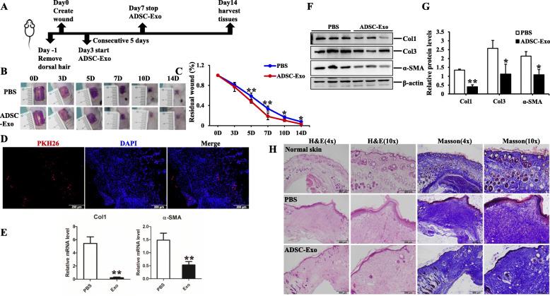 https://cdn.ncbi.nlm.nih.gov/pmc/blobs/11a4/8010995/fd65d815e609/13287_2021_2290_Fig3_HTML.jpg