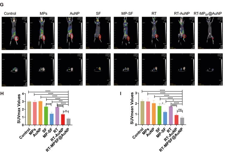 https://cdn.ncbi.nlm.nih.gov/pmc/blobs/11a5/12047280/134cc01950f8/IJN-20-5489-g0007.jpg