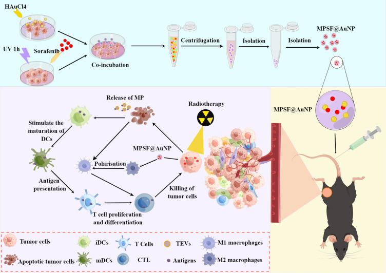 https://cdn.ncbi.nlm.nih.gov/pmc/blobs/11a5/12047280/9d4b38c39864/IJN-20-5489-g0001.jpg