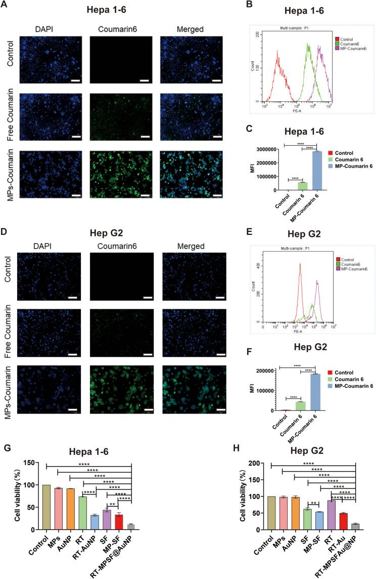 https://cdn.ncbi.nlm.nih.gov/pmc/blobs/11a5/12047280/a9ccb6333b36/IJN-20-5489-g0003.jpg