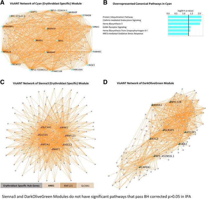 https://cdn.ncbi.nlm.nih.gov/pmc/blobs/11a5/6399982/42a49bc764f0/12974_2019_1433_Fig4_HTML.jpg