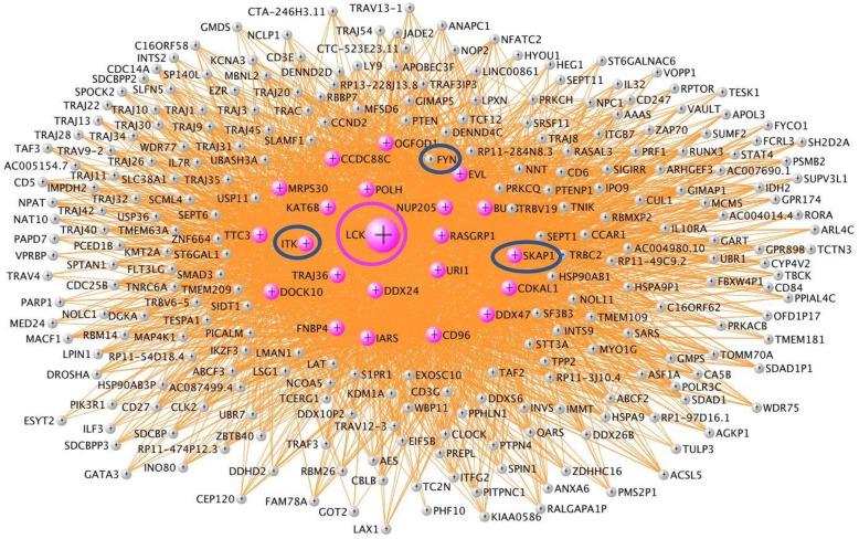 https://cdn.ncbi.nlm.nih.gov/pmc/blobs/11a5/6399982/64eeab90f40a/12974_2019_1433_Fig5_HTML.jpg