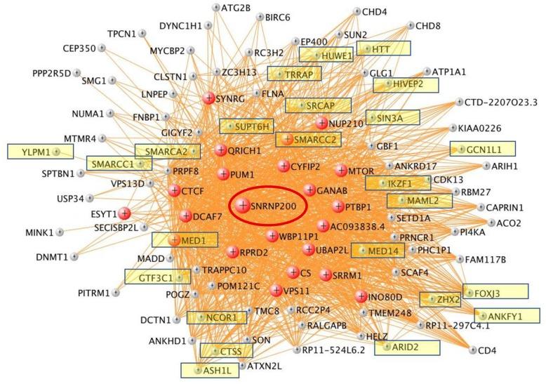 https://cdn.ncbi.nlm.nih.gov/pmc/blobs/11a5/6399982/65528ff1ad07/12974_2019_1433_Fig6_HTML.jpg