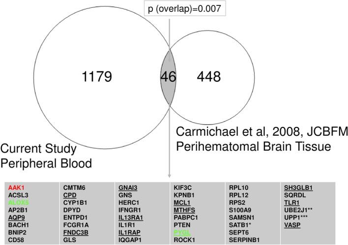 https://cdn.ncbi.nlm.nih.gov/pmc/blobs/11a5/6399982/7ef6f90292a2/12974_2019_1433_Fig9_HTML.jpg