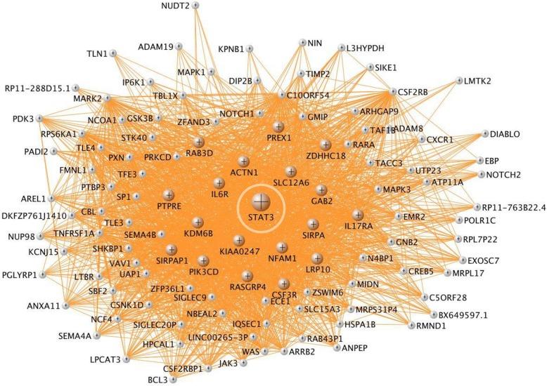 https://cdn.ncbi.nlm.nih.gov/pmc/blobs/11a5/6399982/b70eec2c0cbf/12974_2019_1433_Fig7_HTML.jpg