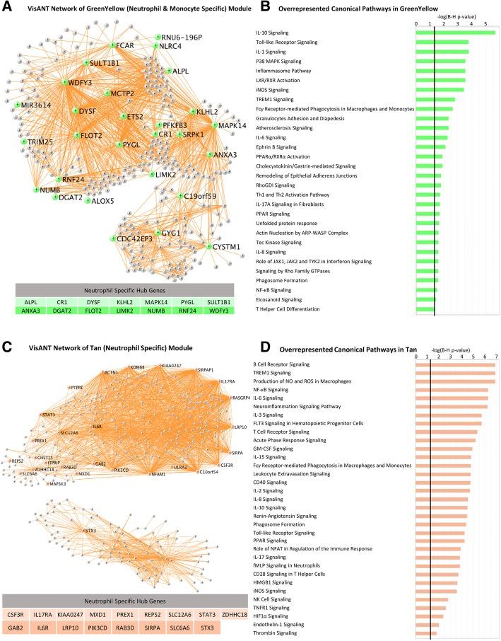 https://cdn.ncbi.nlm.nih.gov/pmc/blobs/11a5/6399982/d306e1480425/12974_2019_1433_Fig2_HTML.jpg