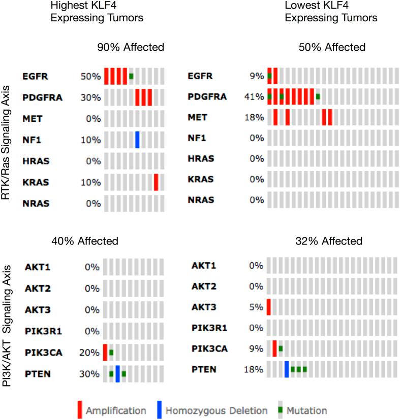 https://cdn.ncbi.nlm.nih.gov/pmc/blobs/11a6/5335262/1e618162ee20/srep43605-f9.jpg