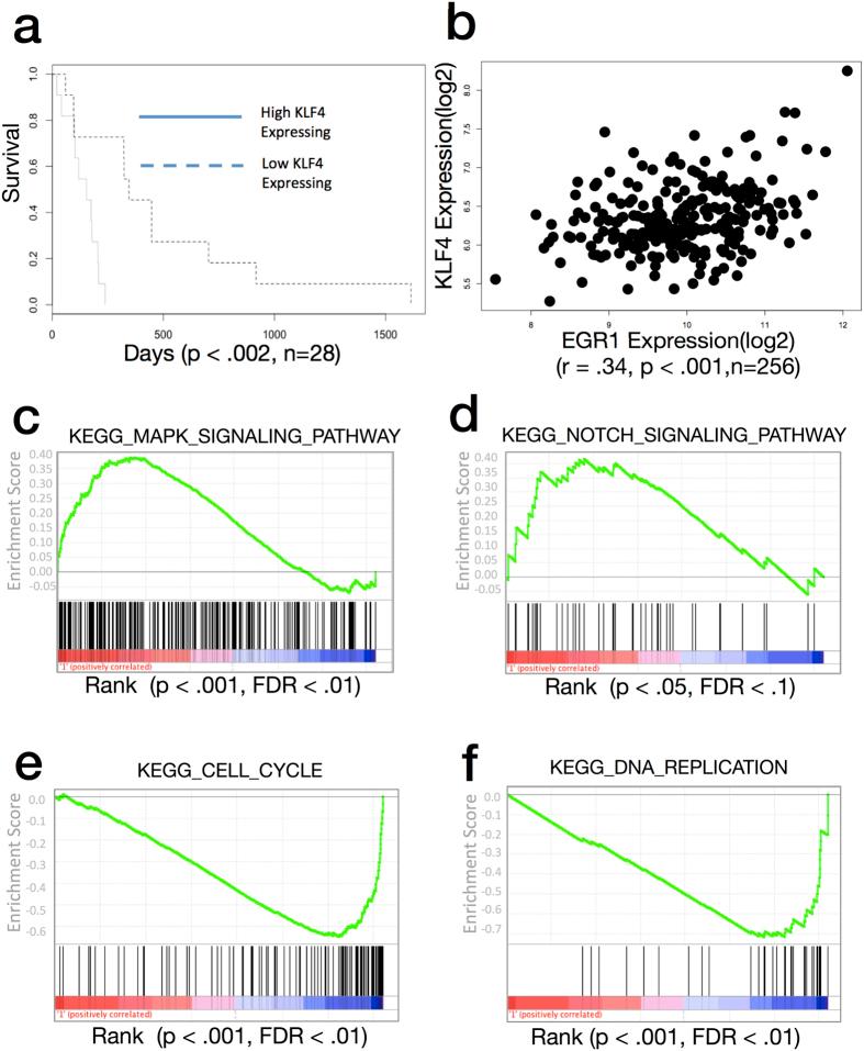 https://cdn.ncbi.nlm.nih.gov/pmc/blobs/11a6/5335262/5748a9798915/srep43605-f8.jpg