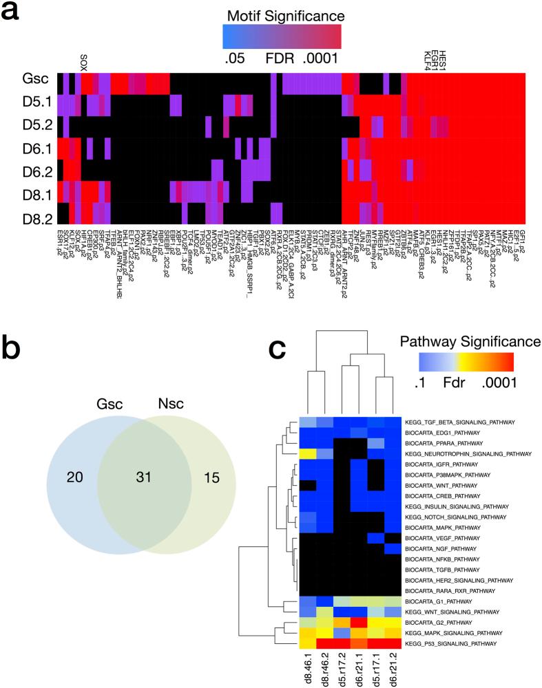 https://cdn.ncbi.nlm.nih.gov/pmc/blobs/11a6/5335262/93d4670eec8f/srep43605-f3.jpg