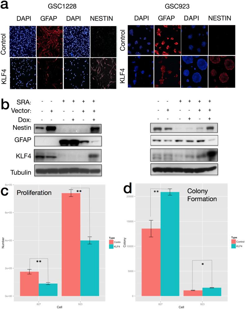 https://cdn.ncbi.nlm.nih.gov/pmc/blobs/11a6/5335262/c7bc06dc9af9/srep43605-f7.jpg